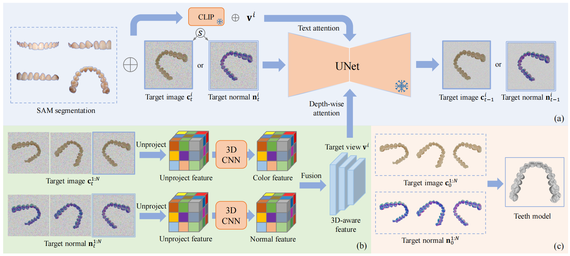 TeethDreamer: 3D Teeth Reconstruction from Five Intra-oral Photographs